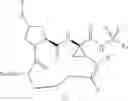 Fig. 19 - Inhibitors of Hepatitis C Virus