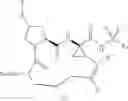 Fig. 21 - Inhibitors of Hepatitis C Virus