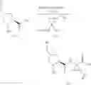 Fig. 24 - Inhibitors of Hepatitis C Virus