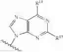 Fig. 20 - Phosphonate inhibitors of HCV