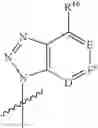 Fig. 29 - Phosphonate inhibitors of HCV
