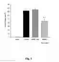 Fig. 02 - Fibrin glue composition for repairing nerve damage and methods thereof