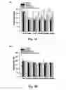 Fig. 04 - Fibrin glue composition for repairing nerve damage and methods thereof
