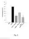 Fig. 06 - Fibrin glue composition for repairing nerve damage and methods thereof
