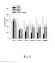Fig. 07 - Fibrin glue composition for repairing nerve damage and methods thereof