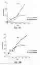 Fig. 03 - Cultures of human CNS neural stem cells