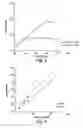 Fig. 05 - Cultures of human CNS neural stem cells