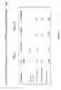 Fig. 06 - Induction of and maintenance of nucleic acid damage in pathogens using riboflavin and light