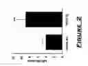Fig. 04 - Use of an agent that restores tissue perfusion and oxygenation