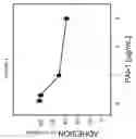 Fig. 05 - PAI-1 BINDING MODULATORS FOR THE TREATMENT OF OCULAR DISORDERS