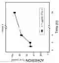 Fig. 06 - PAI-1 BINDING MODULATORS FOR THE TREATMENT OF OCULAR DISORDERS