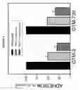 Fig. 07 - PAI-1 BINDING MODULATORS FOR THE TREATMENT OF OCULAR DISORDERS