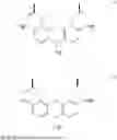 Fig. 08 - Immunogenic compositions of cyclic peptides derived from the beta-amyloid peptide