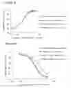 Fig. 02 - Humanized anti-CD47 antibody