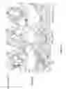 Fig. 02 - Tr1 cells for use in atherosclerosis