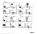 Fig. 04 - Method For Increasing Cd8+ Cytotoxic T Cell Responses And For Treating Multiple Sclerosis