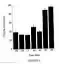 Fig. 07 - Mutants of clostridium difficile toxin B and methods of use
