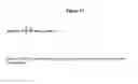 Fig. 24 - Modified Human Growth Hormone