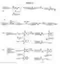 Fig. 27 - Modified Human Growth Hormone