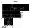 Fig. 07 - Brucella melitensis mutants and methods