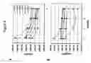 Fig. 09 - Brucella melitensis mutants and methods