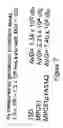 Fig. 06 - Bacterial Packaging Strains Useful for Generation and Production of Recombinant Double-Stranded RNA Nucleocapsids and Uses Thereof
