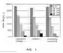 Fig. 02 - Solid composition for treating water