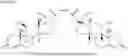 Fig. 05 - Topical delivery of codrugs