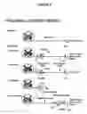 Fig. 05 - Methods and compositions for altering cell function