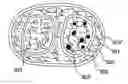 Fig. 01 - Structurally Layered Composition for Daily Diet