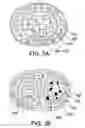 Fig. 03 - Structurally Layered Composition for Daily Diet