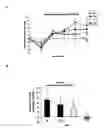 Fig. 01 - Method of reducing hypertension by administering flavanol gylcosides