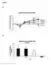 Fig. 02 - Method of reducing hypertension by administering flavanol gylcosides