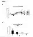 Fig. 03 - Method of reducing hypertension by administering flavanol gylcosides
