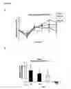 Fig. 04 - Method of reducing hypertension by administering flavanol gylcosides