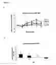 Fig. 06 - Method of reducing hypertension by administering flavanol gylcosides