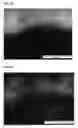 Fig. 06 - METHOD FOR FORMING ANTI-CORROSION AND ANTI-OXIDATION COATING LAYER ON HIGH-TEMPERATURE COMPONENTS OF GAS TURBINE FUEL ADDITIVE