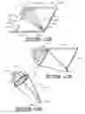 Fig. 08 - Decorative Grass Having Optical Effect