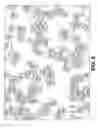 Fig. 05 - Provision of frames or borders around pigment flakes for covert security applications