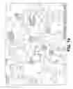 Fig. 07 - Provision of frames or borders around pigment flakes for covert security applications