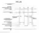 Fig. 04 - Optical information recording medium
