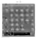 Fig. 03 - Zinc Oxide Microstructures and a Method of Preparing the Same