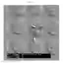 Fig. 05 - Zinc Oxide Microstructures and a Method of Preparing the Same