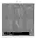 Fig. 06 - Zinc Oxide Microstructures and a Method of Preparing the Same