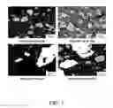 Fig. 02 - Tie Layer and Method for Forming Thermoplastics