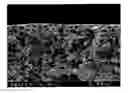 Fig. 01 - Multi-Layer Coated Products and Curtain Coating Process for Same