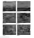 Fig. 03 - Multi-Layer Coated Products and Curtain Coating Process for Same