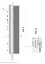 Fig. 06 - High Specific Power Solid Oxide Fuel Cell Stack