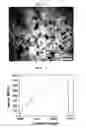 Fig. 04 - Case for batteries and preparation method thereof