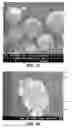 Fig. 11 - Electrochemical composition and associated technology